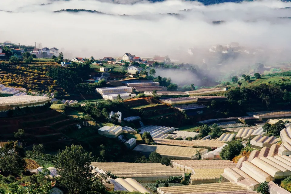 Nông sản đang có